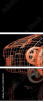 53945755