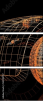53945757