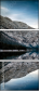 53981079