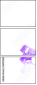 54154961
