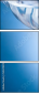 54329215