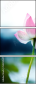 54351537