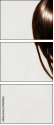 54408663