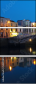 54492876