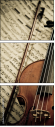 54506799