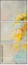 54527270