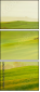 54529677