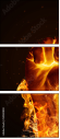 54582803