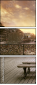 54670064