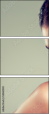 54860040