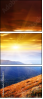 54860114