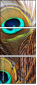 54904462