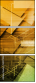 54970423