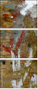 55026484