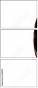 55081931