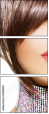 55088059