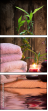 55155599