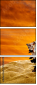 55164339