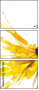 55217486