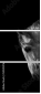 55501476