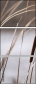 55661015