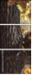 55703900
