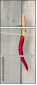 55746905