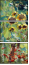 55761448