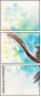 55802927