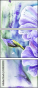 55838203