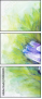 55838405