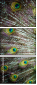 55839349