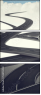 55855038