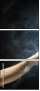 55886651