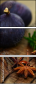 55956609
