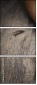 55994074
