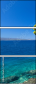 56291368
