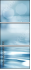 56349902