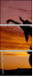 56391467