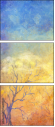 56482260