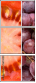 56732934