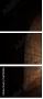 56940386
