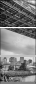 57021622