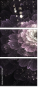 57185040