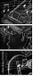 57321160