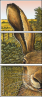 57328279