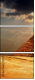 57369447