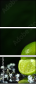57479075