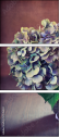 57545430