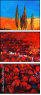 57599272